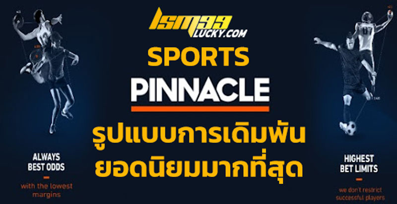 pinnacle sport