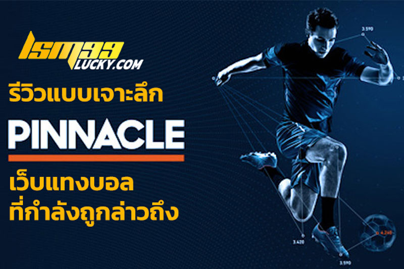 pinnacle sport