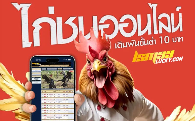 ไก่ชนออนไลน์ คืออะไร