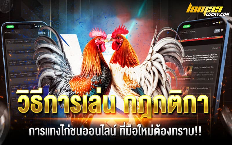 แทงไก่ชนออนไลน์