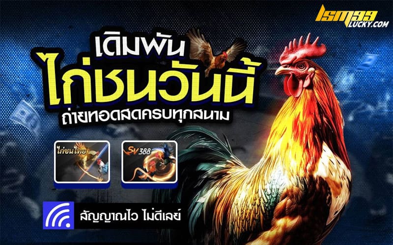 ไก่ชนออนไลน์สด