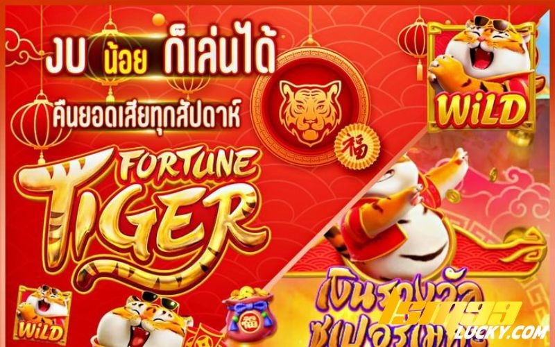 pg slot เว็บใหม่