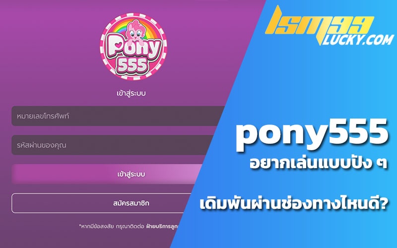 pony555