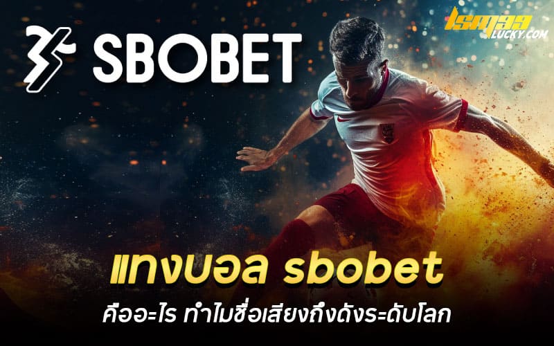 แทงบอล sbobet คืออะไร